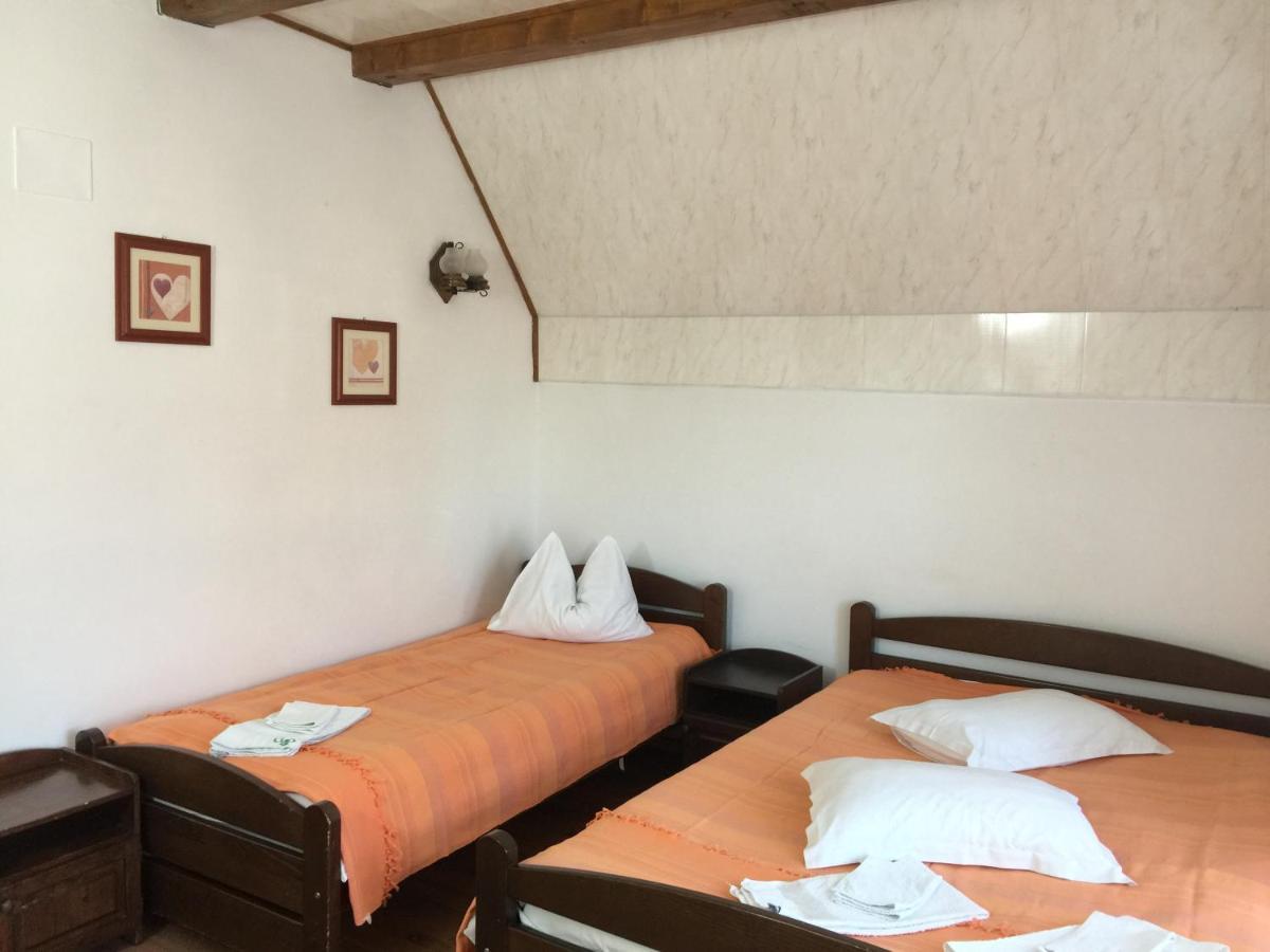 Pension Green Park Брашов Екстер'єр фото
