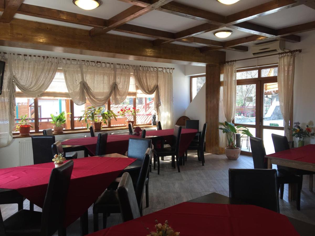 Pension Green Park Брашов Екстер'єр фото