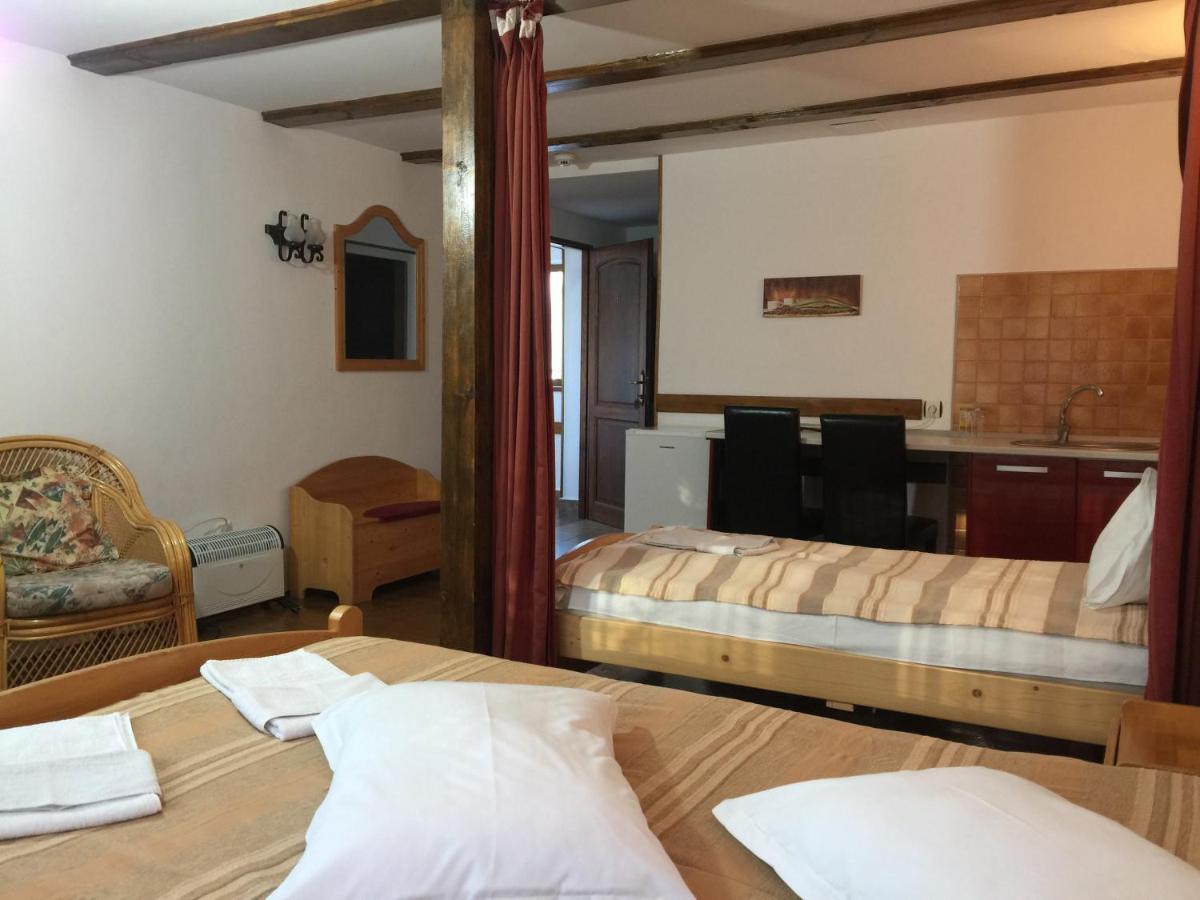 Pension Green Park Брашов Екстер'єр фото