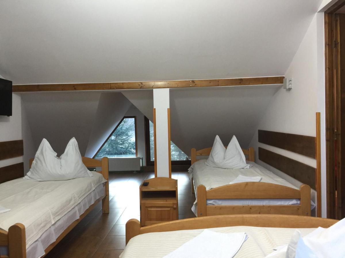 Pension Green Park Брашов Екстер'єр фото