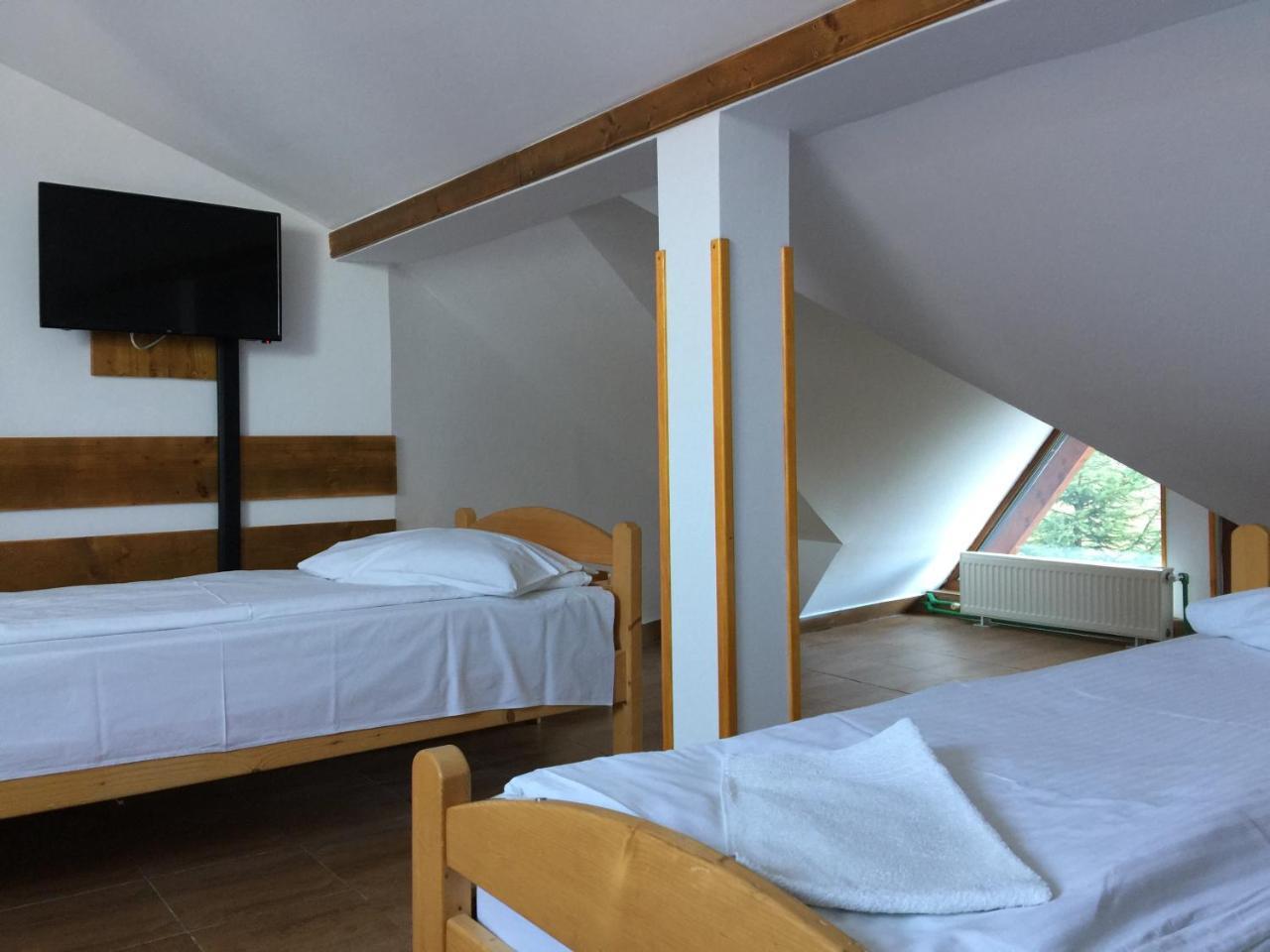 Pension Green Park Брашов Екстер'єр фото