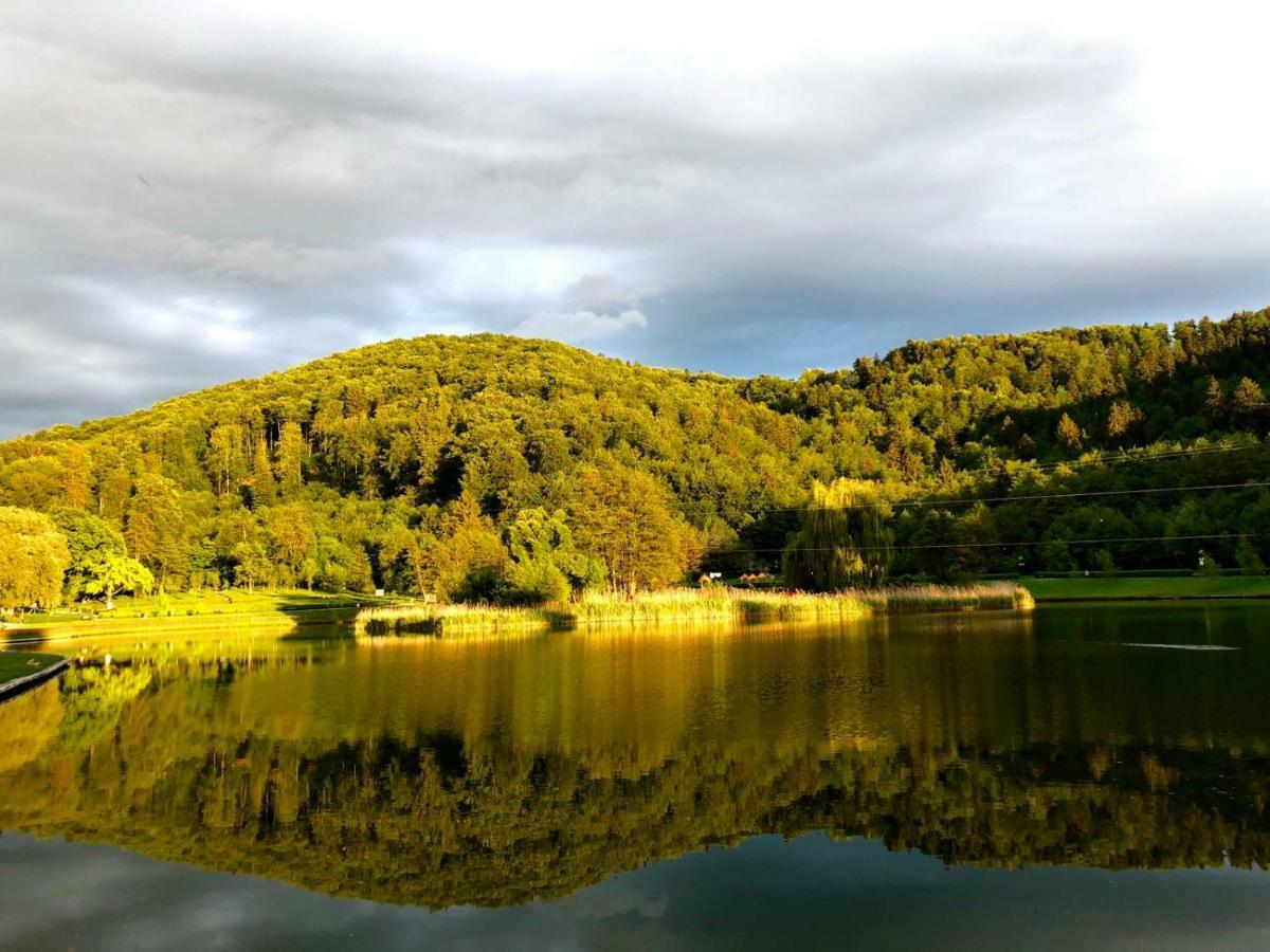 Pension Green Park Брашов Екстер'єр фото