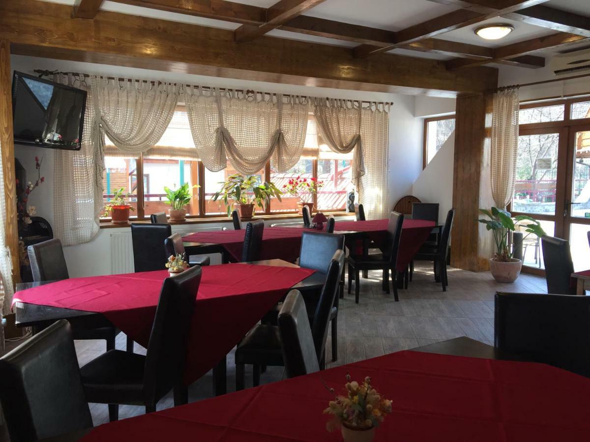 Pension Green Park Брашов Екстер'єр фото
