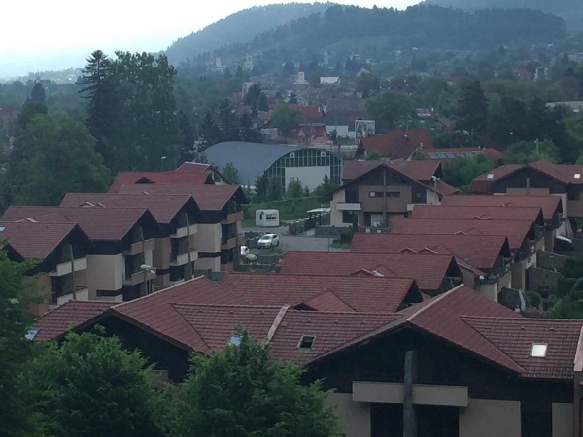 Pension Green Park Брашов Екстер'єр фото