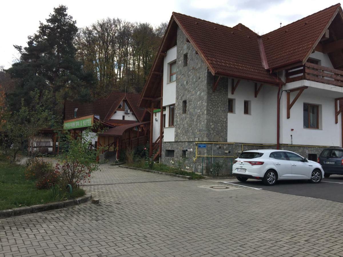 Pension Green Park Брашов Екстер'єр фото