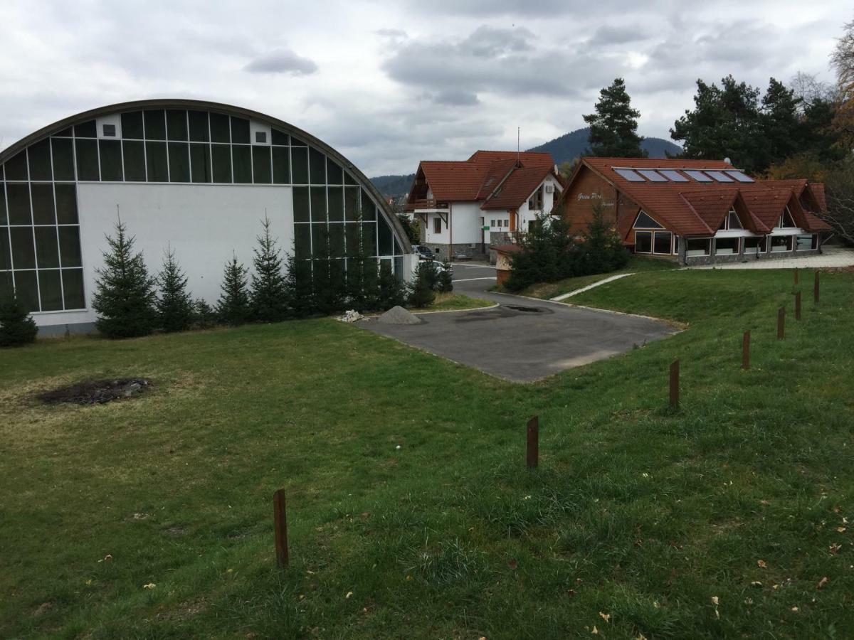 Pension Green Park Брашов Екстер'єр фото