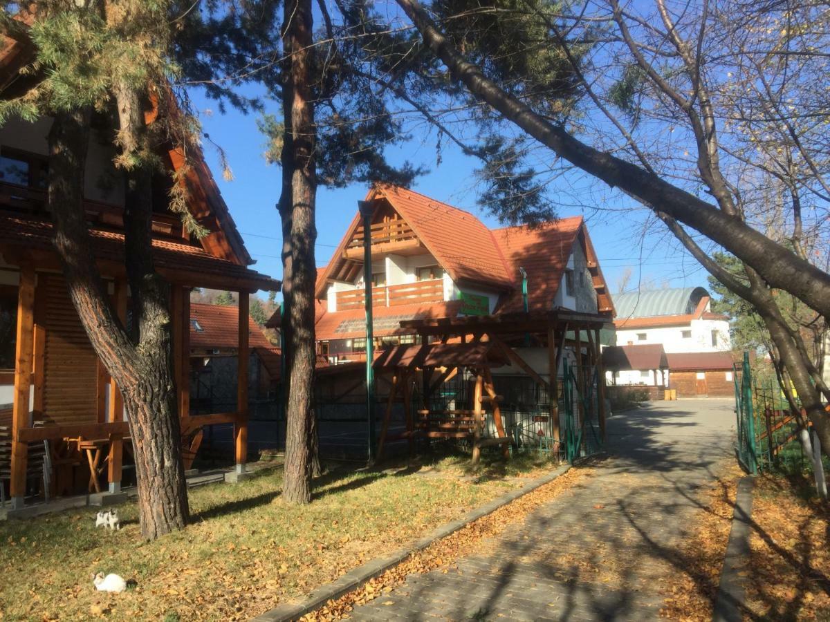 Pension Green Park Брашов Екстер'єр фото